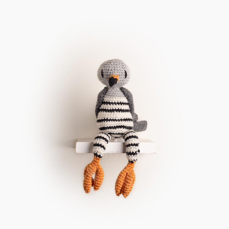 Quentin the Common Cuckoo